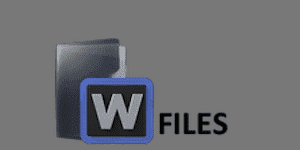 WipFiles.net
